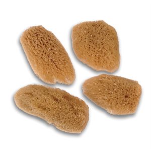 Face Sea Sponges (3-pack) 1 / 3un
