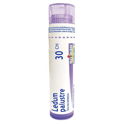 Boiron Ledum Palustre 30CH 4g