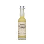 Northern Green Organic Liquid Gingembre 40Ml