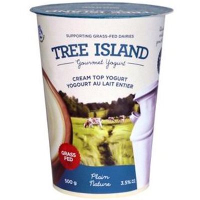 Tree Island Yogurt Cream Top Plain 3.5% Mf 500G