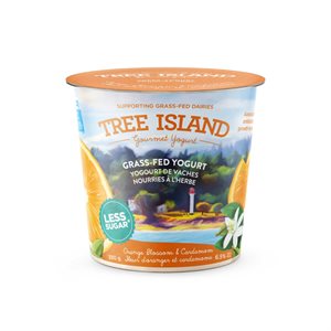 Tree Island Yogurt Orange Blossom & Cardamom 6.5%Mf 350G
