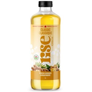 Rise Kombucha Organic White Tea Ginger 1L