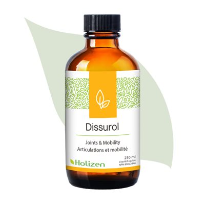 Holizen Dissurol 250Ml