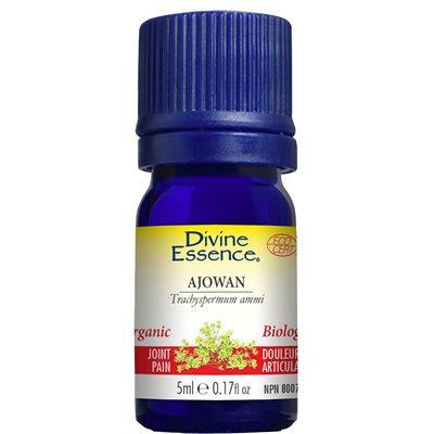 ajowan essential oil