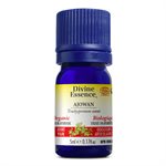 ajowan  essential oil