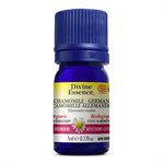 Divine Essence Chamomile German Organic Essential Oil 5ml