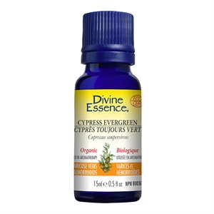 Cypress - Evergreen Essential Oil 