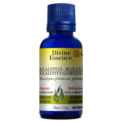 Eucalyptus Blue Gum essential oil 