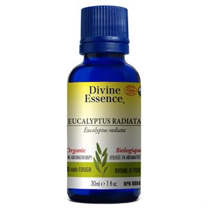 Huile essentielle Eucalyptus Radiata