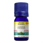 Galbanum essential oil