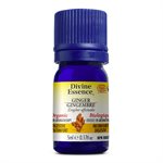 Ginger Essential Oil 