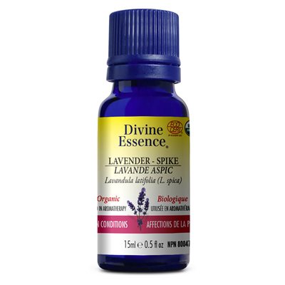 Lavender - Spike-Essential Oil 