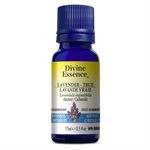 Lavender - True - Kashmir Essential Oil 