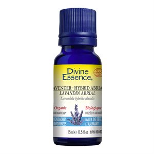 Lavander Hybrid Abrial essential oil