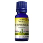 Marjoram spanish essential oil