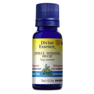 Divine Essence Pruche Huile Essentielle Biologique 15ml