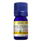 Divine Essence Rosemary Verbenone Type Organic Essential Oil 5ml
