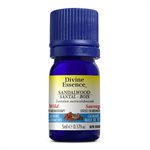 Divine Essence Sandalwood (South Pacific) Wild Essential Oil 5ml