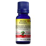 Wintergreen - Fragrant Essential Oil 