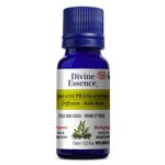 The Breathe Prana essential oils 
