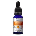 Sea Buckthorn beauty oil 