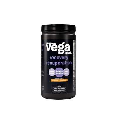 Vega Sport Workout Recovery Tropical 540g