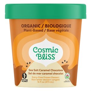 Cosmic Bliss organic vegan ice cream Chocolate Sea Salt Caramel 473ml