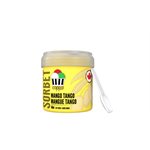 Coppa Sorbet Mangue Tango 188mL
