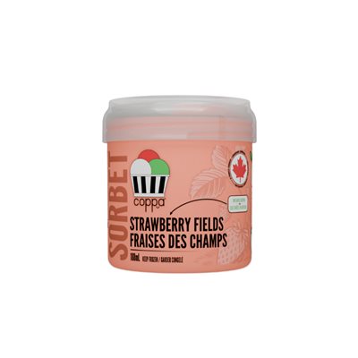 Coppa Strawberry Fields Sorbet 188mL