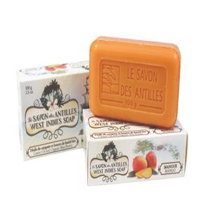 Savons Des Antilles Savon Mangue 100g
