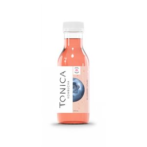 Tonica Kombucha Brut Bleuet Bio 370ml