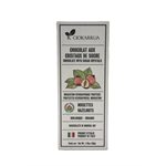 Ciokarrua - Organic Hazelnut Chocolate Igp 50G