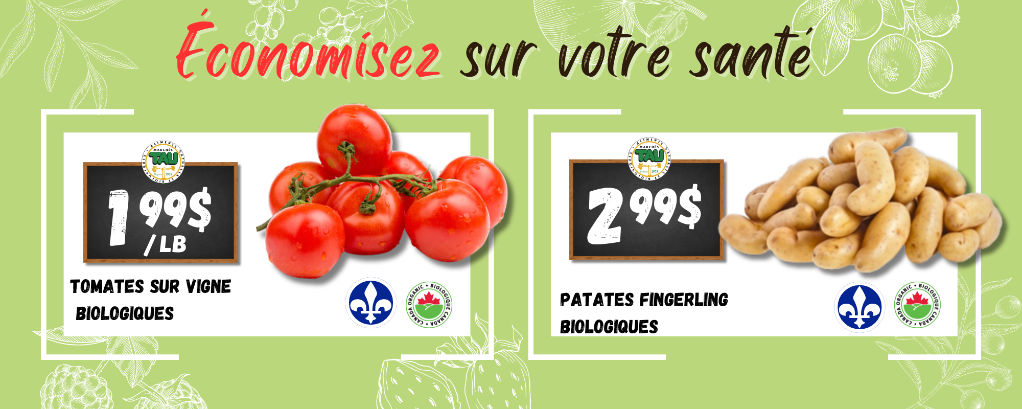 flfrench28