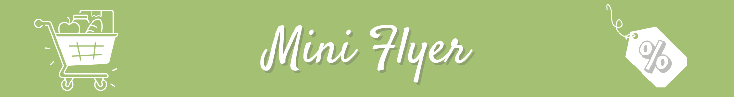 miniflyereng